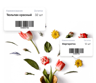 Инвентаризация